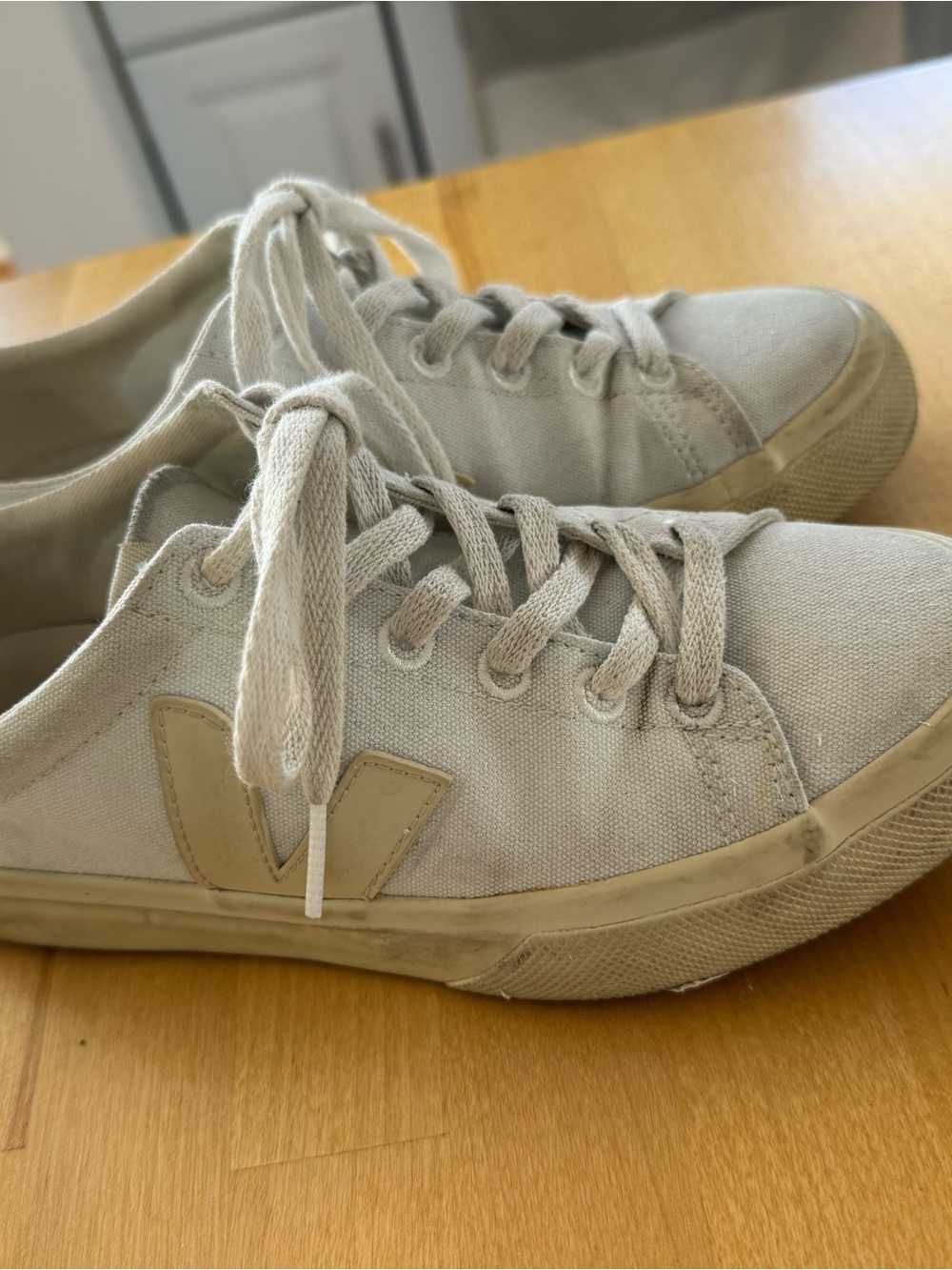 Vans Low-Top Canvas Sneakers in Beige